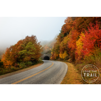 Foggy Fall Day on the Blue Ridge Parkway